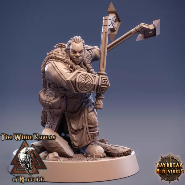 Kit De 11 Miniaturas RPG - The White Ravens Of Norrokk - Imagem 10