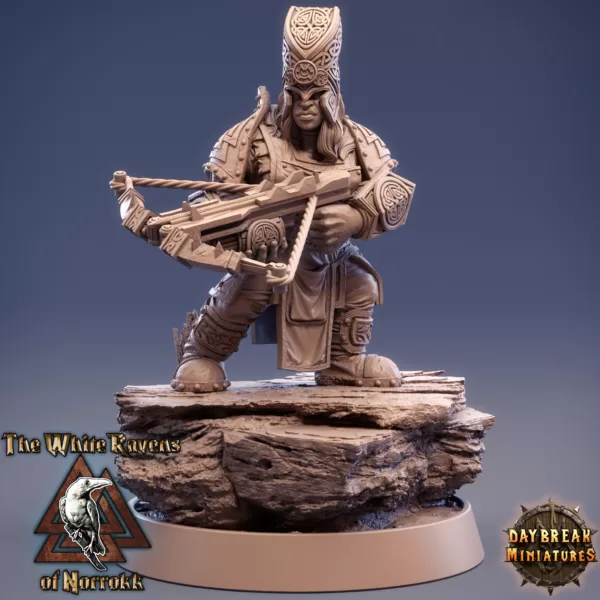 Kit De 11 Miniaturas RPG - The White Ravens Of Norrokk - Imagem 9